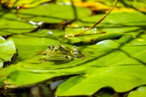 dvの慰謝料相場はどのくらいが一般的なのか？